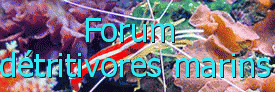 Identification nudibranches Userbar-2011.10.27-18h30-2e23f8f