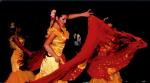 http://img74.xooimage.com/files/c/d/0/flamenco-2be2e44.jpg
